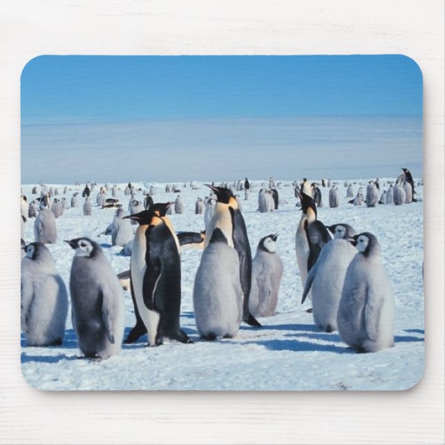 penguins mouse pad (Front)
