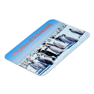 Penguins of Antarctica - Magnet