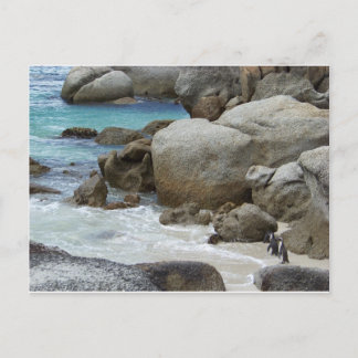 Penguins on the Beach Postcard