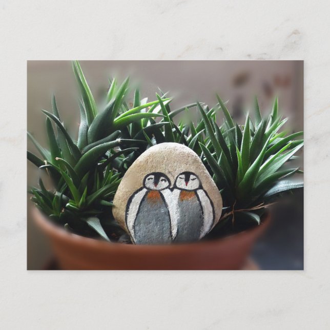 Penguins Painted Stone Photo Postcard (Front)