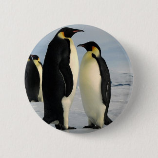penguins-poop-from-outer-space 6 cm round badge