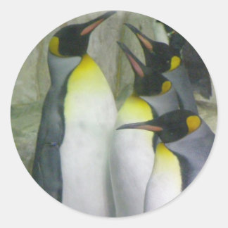 penguins, stickers