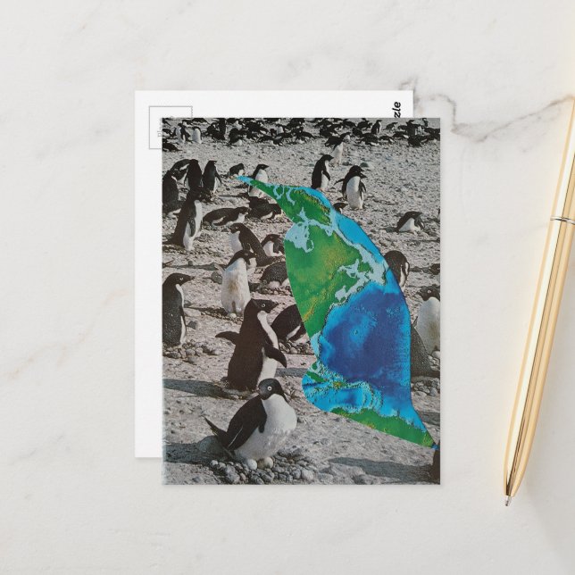 Penguins wildlife collage postcard (Front/Back In Situ)