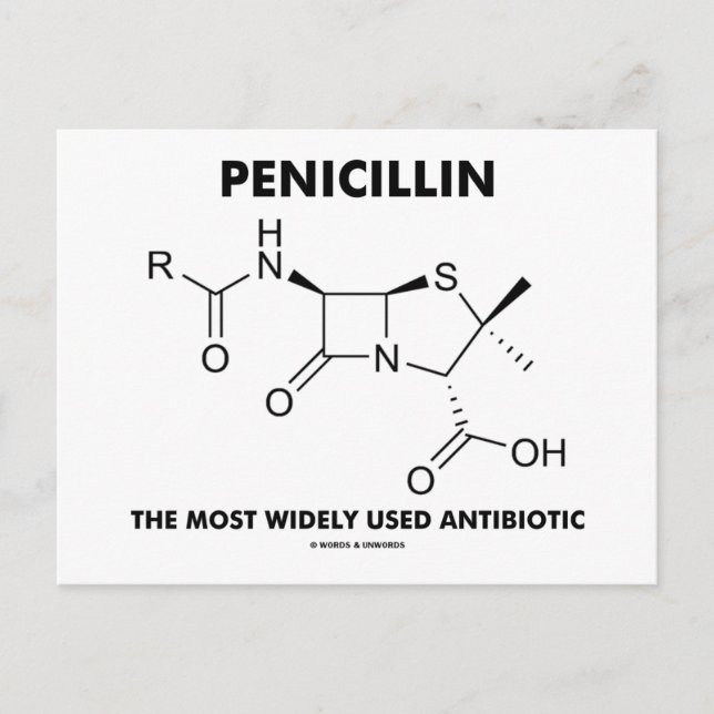 Penicillin Most Widely Used Antibiotic (Chemistry) Postcard (Front)