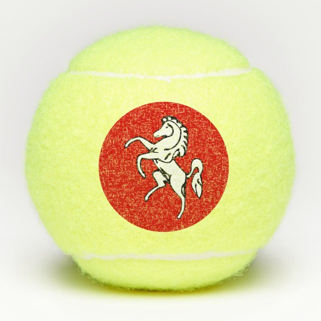 Penn tennis ball with flag of Kent County (Front)
