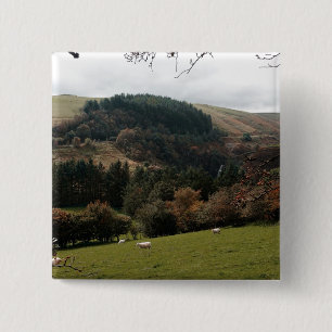 Pennant Valley Wales 15 Cm Square Badge