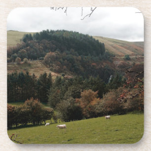 Pennant Valley Wales Coaster