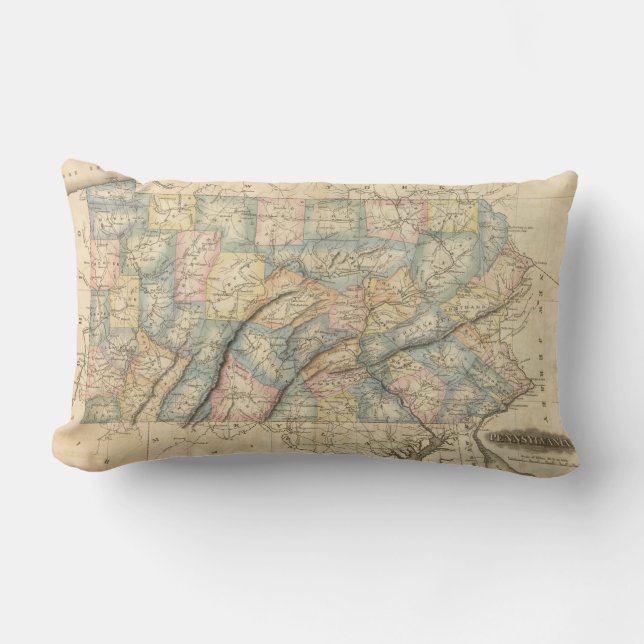 Pennsylvania 8 lumbar cushion (Front)