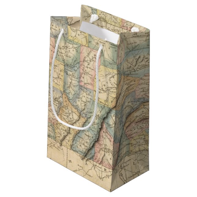 Pennsylvania 8 small gift bag (Back Angled)
