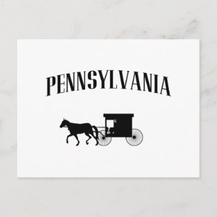 Pennsylvania Amish Carriage Postcard