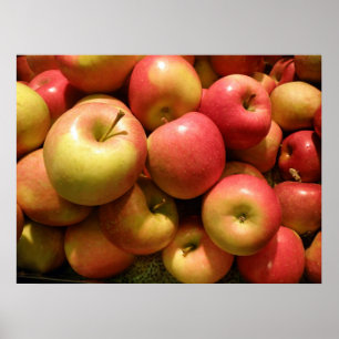 Pennsylvania Apples Poster, 30.67" X 23" Poster