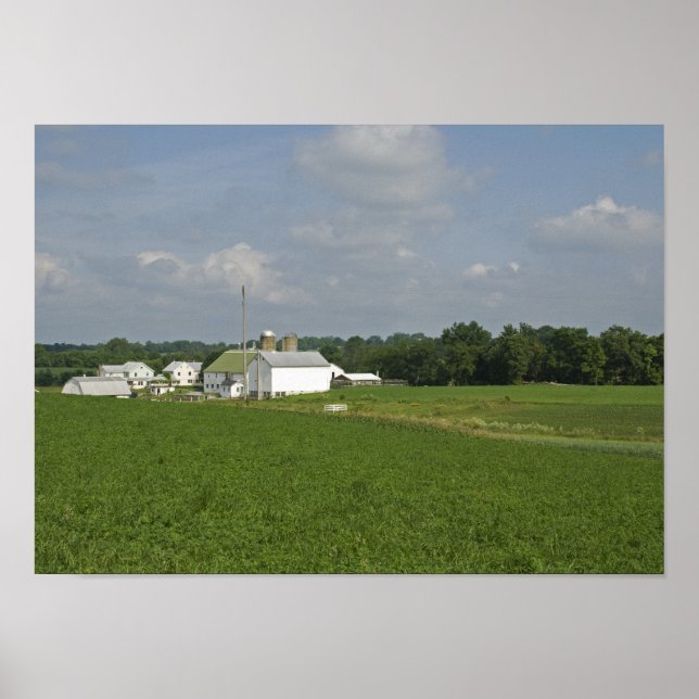 Pennsylvania Countryside Poster (Front)