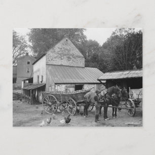 Pennsylvania Farm, 1906 Postcard