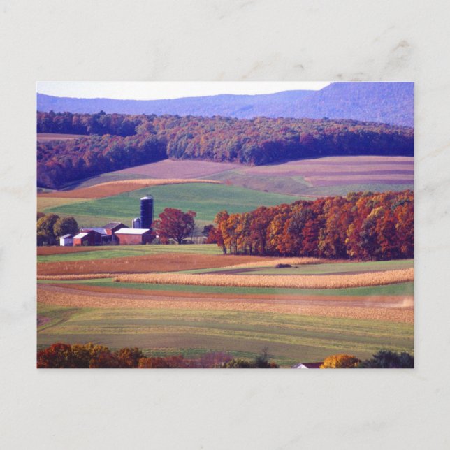Pennsylvania Farm in Autumn Postcard (Front)