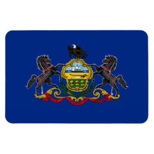 Pennsylvania flag magnet