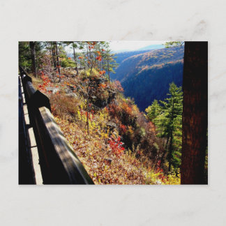 Pennsylvania Grand Canyon -Leonard Harris St Park Postcard