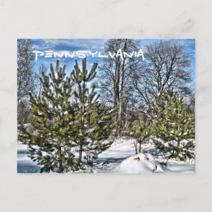 PENNSYLVANIA postcard