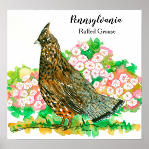 Pennsylvania Ruffed Grouse Mountain Laurel Poster