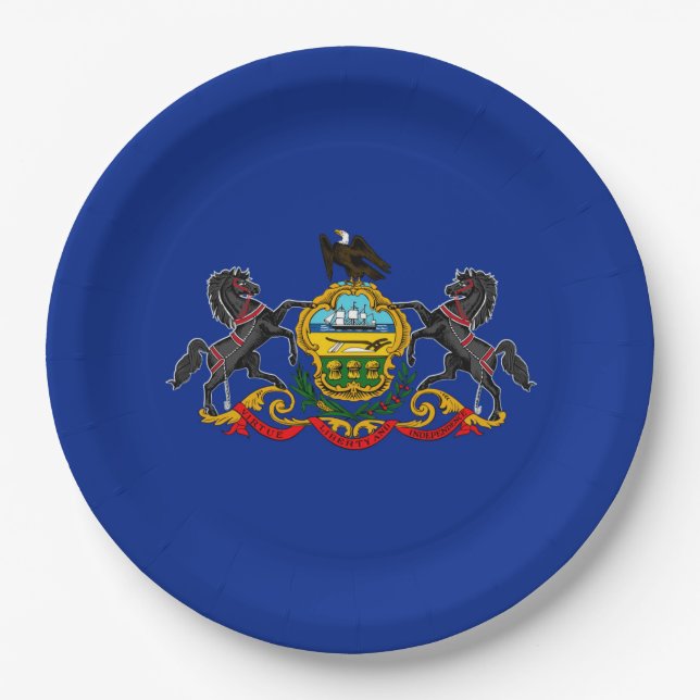 Pennsylvania State Flag Design Decor Paper Plate (Front)