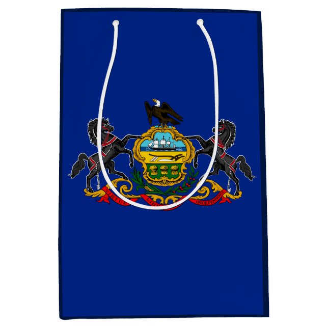 Pennsylvania State Flag Design Medium Gift Bag (Front)