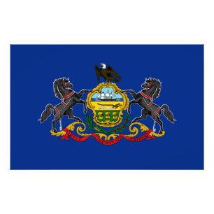 Pennsylvania State Flag USA Photo Print