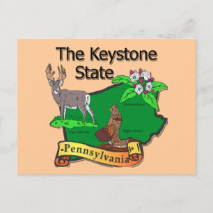 Pennsylvania The Keystone State Bird Deer Flower Postcard