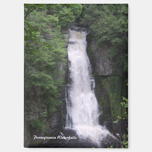 Pennsylvania Waterfalls Rectangle Magnet (Front)
