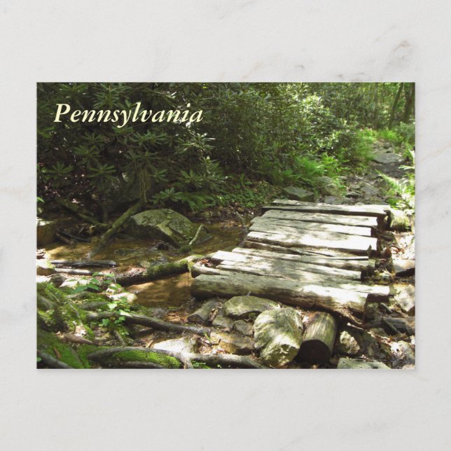 Pennsylvania Wooden Bridge Postcard (Front)