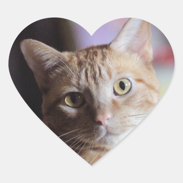 Penny Heart Sticker (Front)