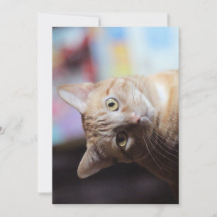 Penny Invitation