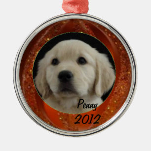 Penny Ornament