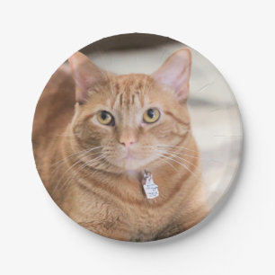 Penny Paper Plate