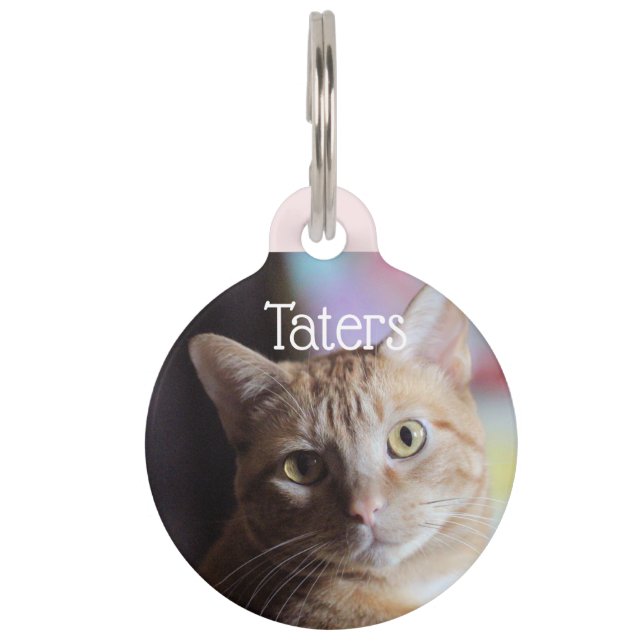 Penny Pet Tag (Front)