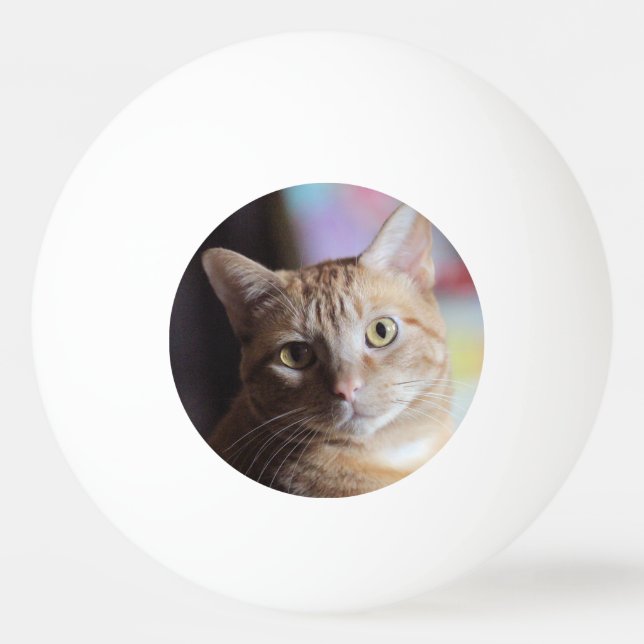 Penny Ping Pong Ball (Front)