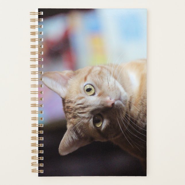 Penny Planner (Front)
