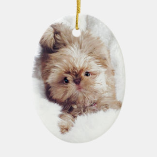 Penny the orange liver Shih Tzu on Cloud 9 Ceramic Tree Decoration