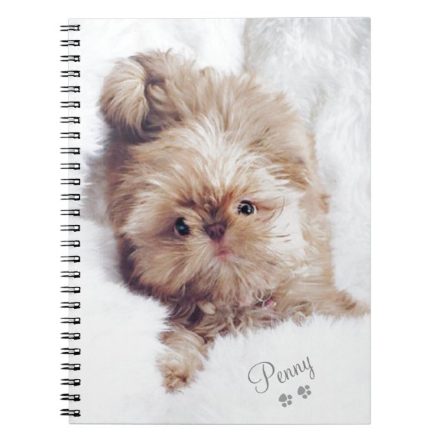 Penny the orange liver Shih Tzu on Cloud 9 tablet Spiral Notebook (Front)
