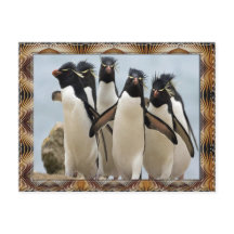 Penquin Walking