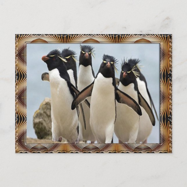 Penquin Walking Postcard (Front)