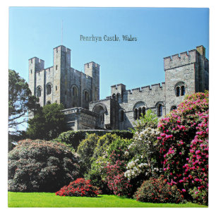 Penrhyn Castle, Wales Tile
