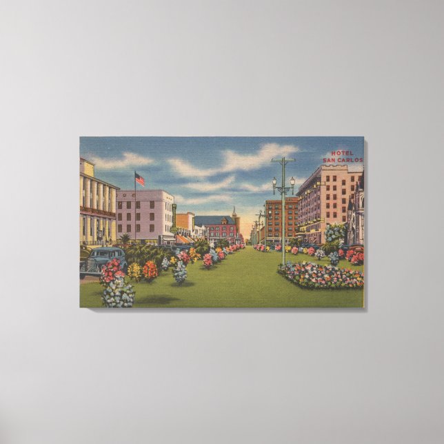 Pensacola, FL - South View of Palafox Canvas Print (Front)