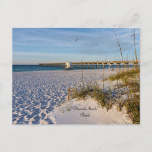 Pensacola Sand Dunes Pier Morning Postcard