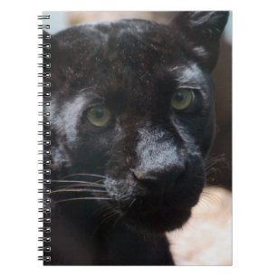 Pensive Black Panther Spiral Notebook