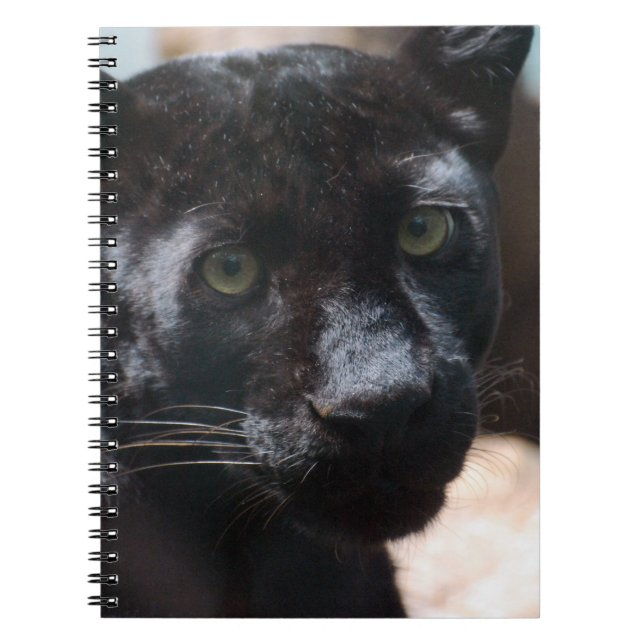 Pensive Black Panther Spiral Notebook (Front)