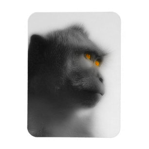 Pensive Monkey Magnet