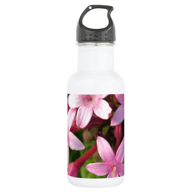 Pentas 532 Ml Water Bottle (Front)
