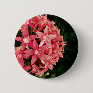 Pentas 6 Cm Round Badge