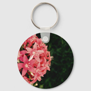 Pentas Key Ring