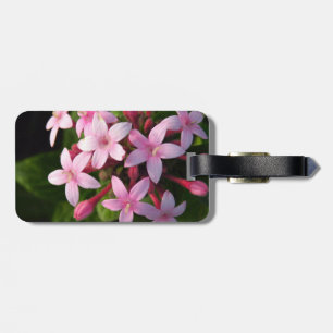 Pentas Luggage Tag