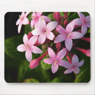 Pentas Mouse Pad